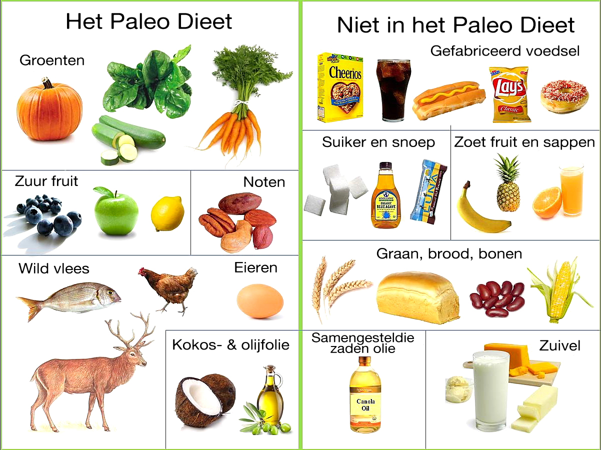 wat mag je wel en wat mag je niet bij het oerdieet paleo